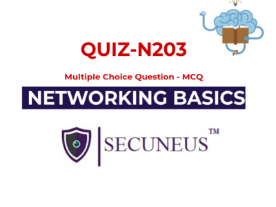 Networking Basic Quiz – N203