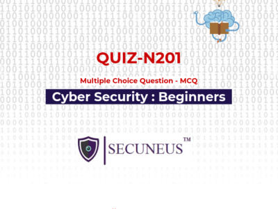 Intro to Cyber Security Quiz – N201