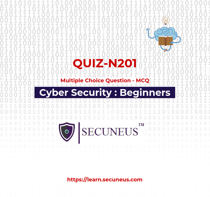 N201 Cyber Security Ethical Hacking Quiz | Training | Secuneus Tech